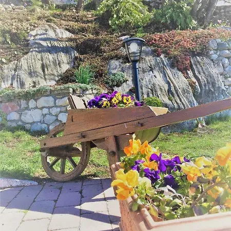 Apartament Mansardino *